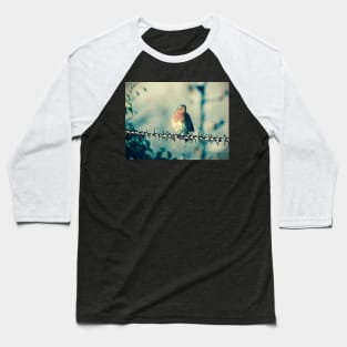 ROBIN ON THE WIRE Baseball T-Shirt